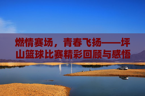 燃情赛场，青春飞扬——坪山篮球比赛精彩回顾与感悟，燃情赛场，青春飞扬——坪山篮球比赛精彩回顾与感悟