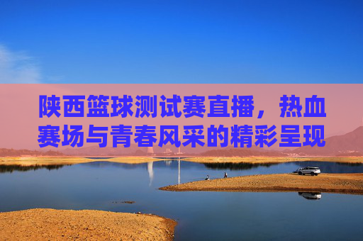 陕西篮球测试赛直播，热血赛场与青春风采的精彩呈现，陕西篮球测试赛直播，热血赛场与青春风采的精彩呈现