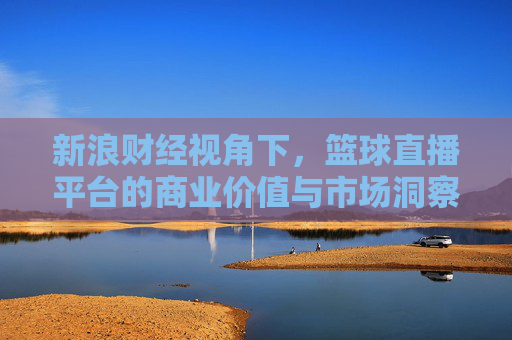 新浪财经视角下，篮球直播平台的商业价值与市场洞察，新浪财经视角下篮球直播平台的商业价值与市场洞察