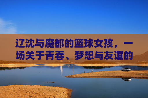 辽沈与魔都的篮球女孩,一场关于青春、梦想与友谊的跨城故事,辽沈与魔都的篮球女孩,一场关于青春、梦想与友谊的跨城故事