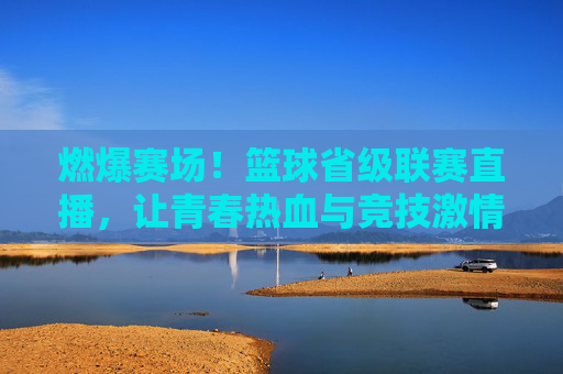 燃爆赛场!篮球省级联赛直播,让青春热血与竞技激情在线绽放,燃爆赛场!篮球省级联赛直播,让青春热血与竞技激情在线绽放