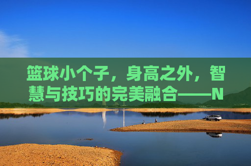 篮球小个子,身高之外,智慧与技巧的完美融合——NBA赛场上的矮个子奇迹,篮球小个子,身高之外,智慧与技巧的完美融合——NBA赛场上的矮个子奇迹