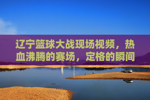辽宁篮球大战现场视频，热血沸腾的赛场，定格的瞬间与未说出口的呐喊，辽宁篮球大战现场视频，热血赛场，定格瞬间与未说出口的呐喊