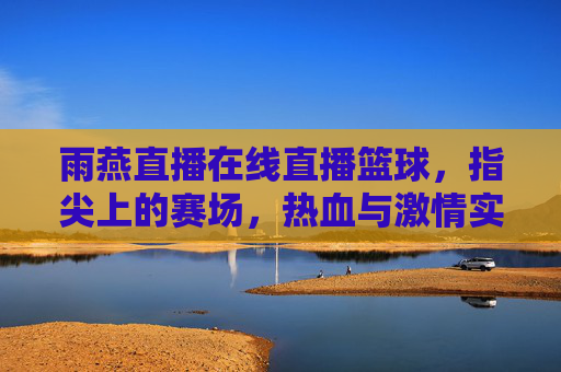 雨燕直播在线直播篮球,指尖上的赛场,热血与激情实时传递,雨燕直播,指尖上的篮球赛场,热血与激情实时传递