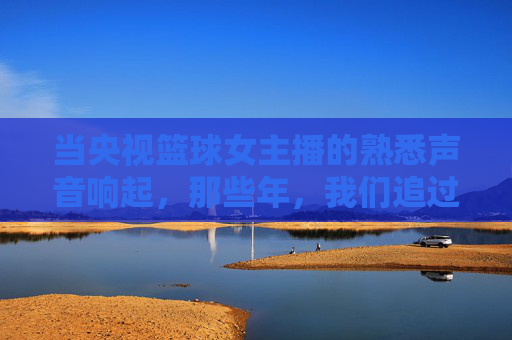 当央视篮球女主播的熟悉声音响起,那些年,我们追过的篮球赛与青春记忆