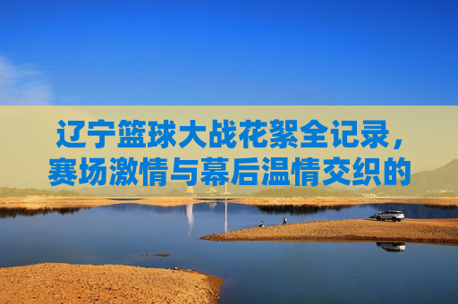 辽宁篮球大战花絮全记录，赛场激情与幕后温情交织的精彩瞬间