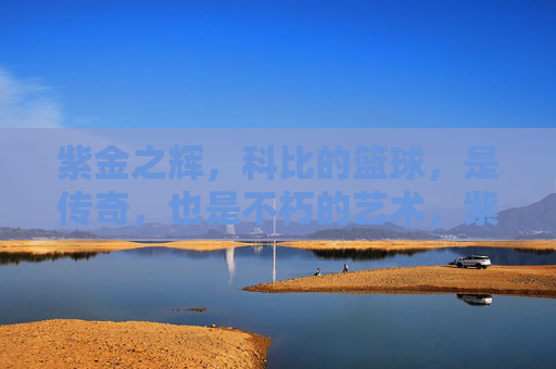 紫金之辉,科比的篮球,是传奇,也是不朽的艺术,紫金之辉,科比的篮球,传奇与不朽的艺术