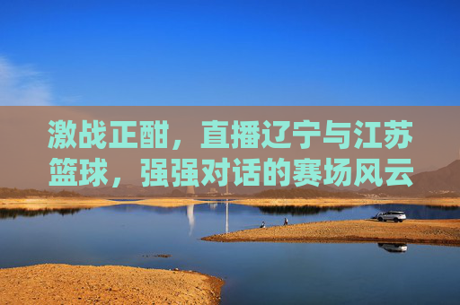 激战正酣,直播辽宁与江苏篮球,强强对话的赛场风云与精彩瞬间