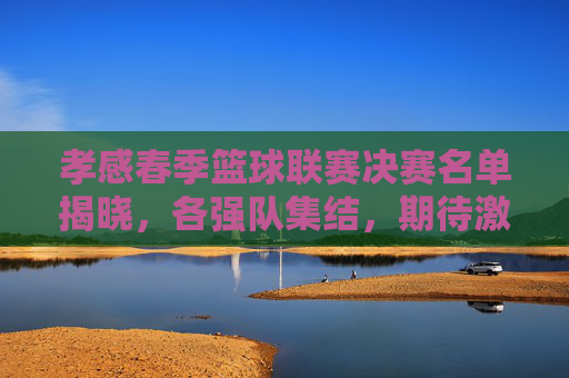 孝感春季篮球联赛决赛名单揭晓，各强队集结，期待激烈角逐