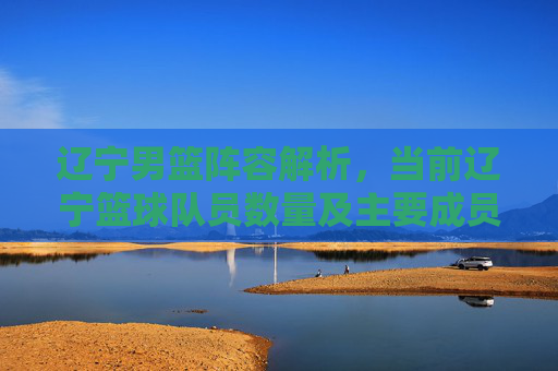 辽宁男篮阵容解析,当前辽宁篮球队员数量及主要成员介绍