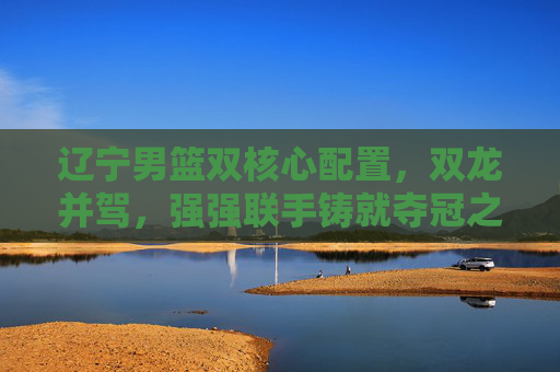 辽宁男篮双核心配置，双龙并驾，强强联手铸就夺冠之路——郭艾伦与赵继伟的默契搭档