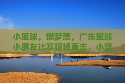 小篮球，燃梦想，广东篮球小朋友比赛现场直击，小篮球燃梦想，广东篮球小朋友比赛现场直击