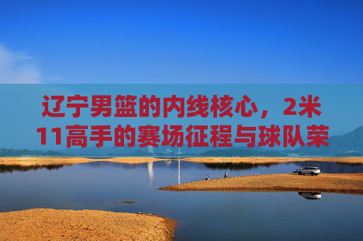 辽宁男篮的内线核心，2米11高手的赛场征程与球队荣光