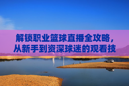 解锁职业篮球直播全攻略，从新手到资深球迷的观看技巧