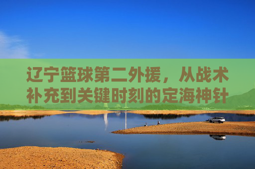 辽宁篮球第二外援,从战术补充到关键时刻的定海神针,如何为辽篮注入关键战力?