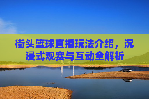 街头篮球直播玩法介绍，沉浸式观赛与互动全解析