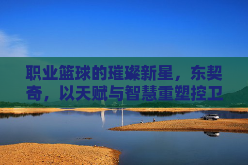 职业篮球的璀璨新星,东契奇,以天赋与智慧重塑控卫传奇,职业篮球的璀璨新星,东契奇以天赋与智慧重塑控卫传奇