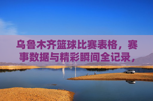 乌鲁木齐篮球比赛表格，赛事数据与精彩瞬间全记录，乌鲁木齐篮球比赛，赛事数据与精彩瞬间全记录