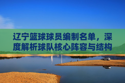 辽宁篮球球员编制名单,深度解析球队核心阵容与结构,辽宁篮球球员编制名单,深度解析球队核心阵容与结构