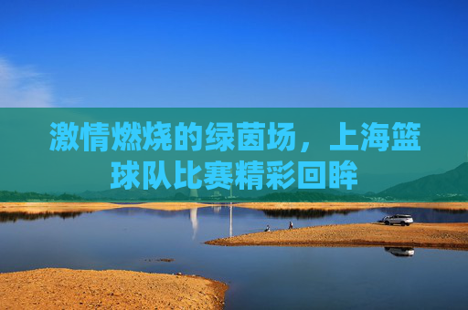 激情燃烧的绿茵场，上海篮球队比赛精彩回眸