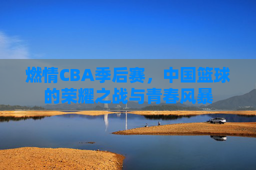 燃情CBA季后赛，中国篮球的荣耀之战与青春风暴