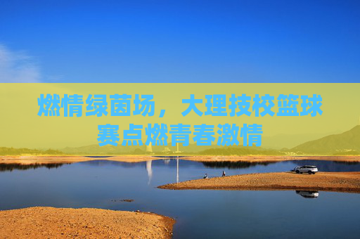 燃情绿茵场，大理技校篮球赛点燃青春激情