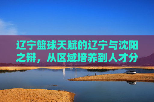 辽宁篮球天赋的辽宁与沈阳之辩,从区域培养到人才分布的深度剖析