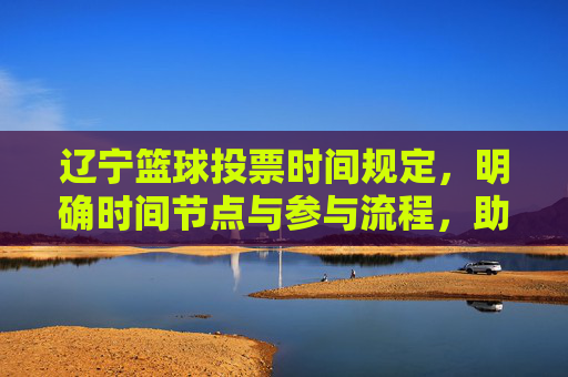 辽宁篮球投票时间规定，明确时间节点与参与流程，助力球迷深度互动