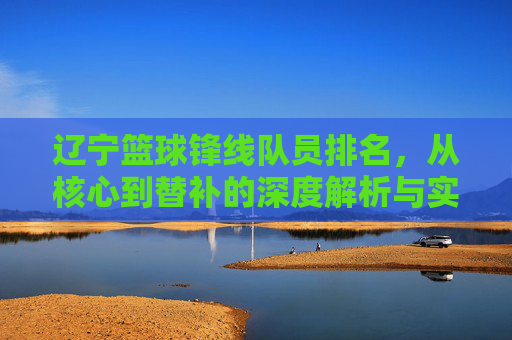 辽宁篮球锋线队员排名，从核心到替补的深度解析与实力评估