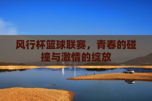 风行杯篮球联赛,青春的碰撞与激情的绽放