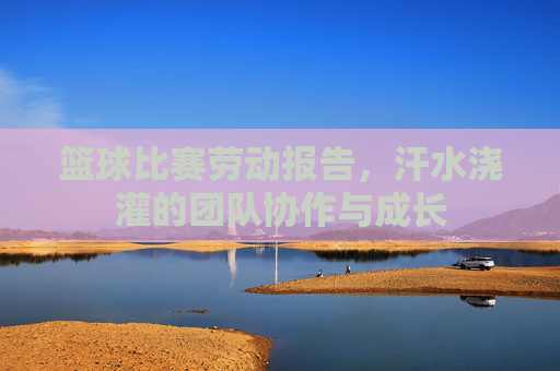 篮球比赛劳动报告，汗水浇灌的团队协作与成长