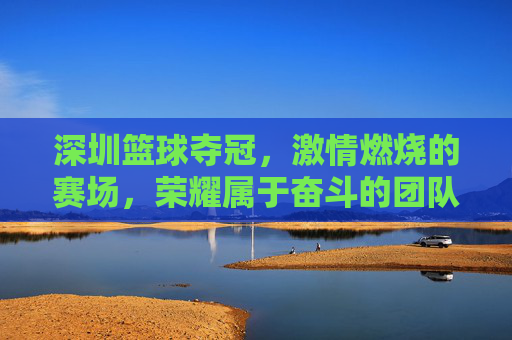 深圳篮球夺冠，激情燃烧的赛场，荣耀属于奋斗的团队——视频集锦中的精彩瞬间与时代印记，深圳篮球夺冠，激情燃烧的赛场，荣耀属于奋斗的团队——视频集锦中的精彩瞬间与时代印记