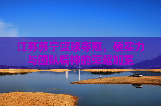 江苏苏宁篮球夺冠，硬实力与团队精神的荣耀加冕