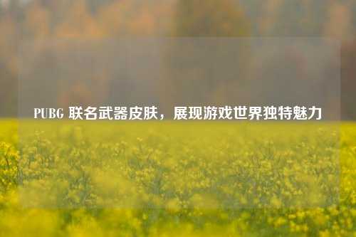 PUBG 联名武器皮肤，展现游戏世界独特魅力