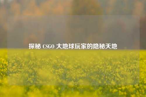 探秘 CSGO 大地球玩家的隐秘天地