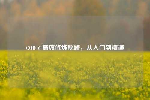 COD16 高效修炼秘籍，从入门到精通
