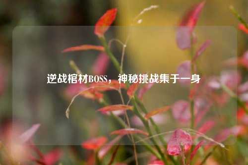 逆战棺材BOSS，神秘挑战集于一身