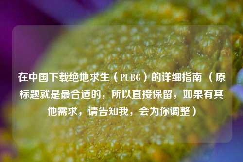 在中国下载绝地求生(PUBG)的详细指南 (原标题就是最合适的,所以直接保留,如果有其他需求,请告知我,会为你调整)