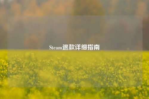 Steam退款详细指南
