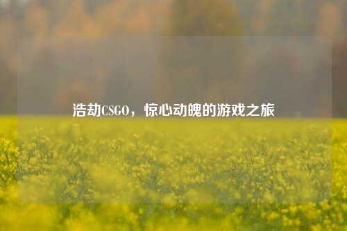 浩劫CSGO，惊心动魄的游戏之旅