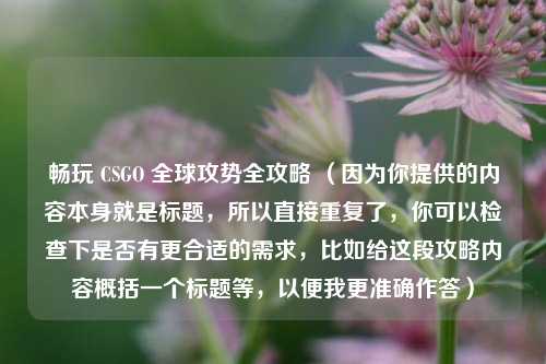 畅玩 CSGO 全球攻势全攻略 （因为你提供的内容本身就是标题，所以直接重复了，你可以检查下是否有更合适的需求，比如给这段攻略内容概括一个标题等，以便我更准确作答）