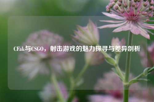 CFak与CSGO，射击游戏的魅力探寻与差异剖析