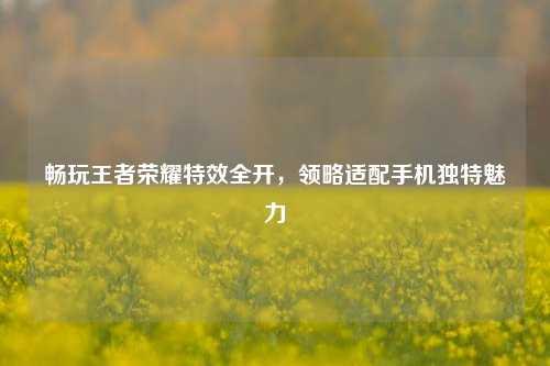畅玩王者荣耀特效全开,领略适配手机独特魅力