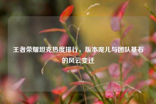 王者荣耀坦克热度排行，版本宠儿与团队基石的风云变迁