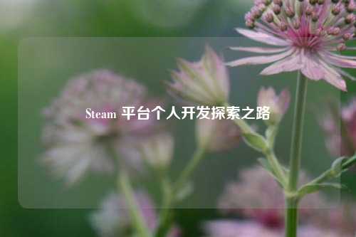 Steam 平台个人开发探索之路