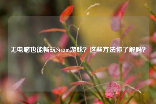 无电脑也能畅玩Steam游戏？这些方法你了解吗？