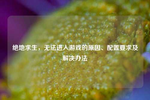 绝地求生，无法进入游戏的原因、配置要求及解决办法