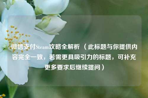 微信支付Steam攻略全解析 (此标题与你提供内容完全一致,若需更具吸引力的标题,可补充更多要求后继续提问)