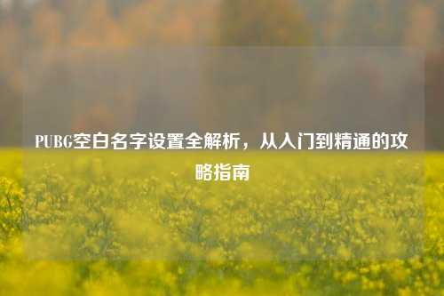 PUBG空白名字设置全解析,从入门到精通的攻略指南