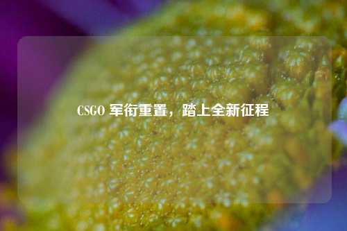CSGO 军衔重置，踏上全新征程